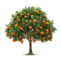 Oranges Tree on Transparent Background png