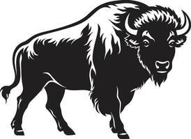 The Essence of the Wild Black Bison Graphic Black Bison A Timeless Symbol of the American West vector