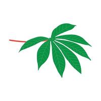Cassava leaf icon vector