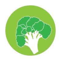 Broccoli icon design vector