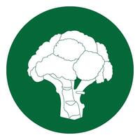 Broccoli icon design vector
