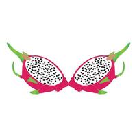 Dragon fruit icon vector