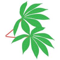 Cassava leaf icon vector