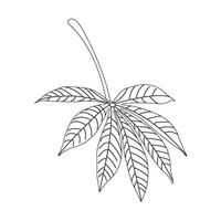 Cassava leaf icon vector