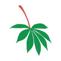 Cassava leaf icon vector
