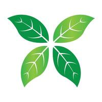 Leaf icon design vector