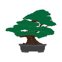 Bonsai icon design vector