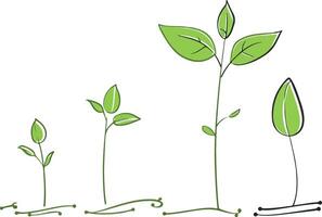 a simple line drawing of plant growing small to big vector