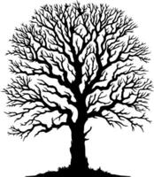 Silhouette of tree with branches without leaves vector
