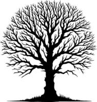 Silhouette of tree with branches without leaves vector
