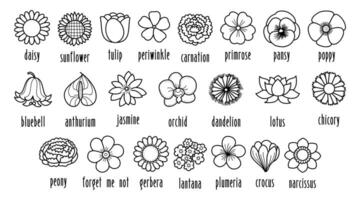 Collection of hand drawn flowers outlines with name labels, black and white elements for educational and project ornaments, illustration. vector