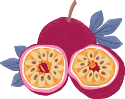 Passion fruit elements png