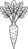 Coloring Page for Kids - Parsnip - Black and White Line Art vector