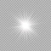 Light effect of lens flares vector