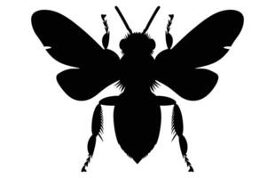 Bee Silhouette isolated black on white background Illustration, Honey Bee Icon, Honey bee insect silhouette. vector