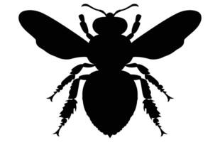 Bee Silhouette isolated black on white background Illustration, Honey Bee Icon, Honey bee insect silhouette. vector