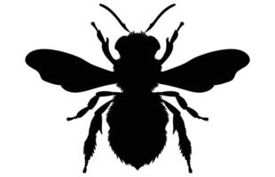 Bee Silhouette isolated black on white background Illustration, Honey Bee Icon, Honey bee insect silhouette. vector