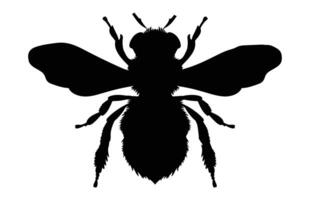 Bee Silhouette isolated black on white background Illustration, Honey Bee Icon, Honey bee insect silhouette. vector
