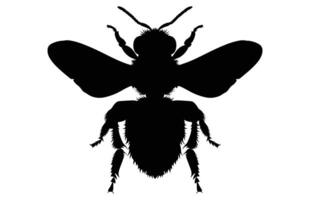 Bee Silhouette isolated black on white background Illustration, Honey Bee Icon, Honey bee insect silhouette. vector