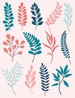 Set of leaves. Hand drawn decorative elements. vector