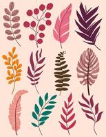 Set of leaves. Hand drawn decorative elements. vector
