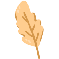 Orange leaves illustration png
