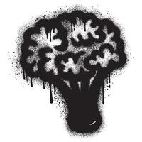 Spray Painted Graffiti Broccoli Sprayed isolated on white background. vector