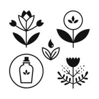 Set of design templates and graphic elements, organic cosmetic, floral black illustration in simple linear hand drawn style, plants and flowers vector
