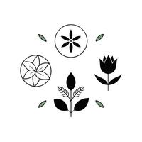 Set of design templates and graphic elements, organic cosmetic, floral black illustration in simple linear hand drawn style, plants and flowers vector