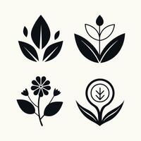 Set of design templates and graphic elements, organic cosmetic, floral black illustration in simple linear hand drawn style, plants and flowers vector