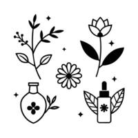 Set of design templates and graphic elements, organic cosmetic, floral black illustration in simple linear hand drawn style, plants and flowers vector