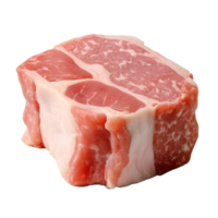 raw pork isolated on the background clipping path png