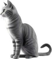 Cat 3d model back view transparent background png