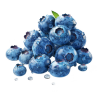 Blueberry Isolated on a Transparent Background png