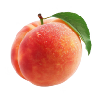 Peach Isolated on a Transparent Background png