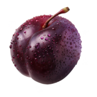 Plum Isolated on a Transparent Background png