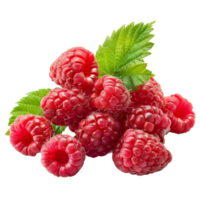 Raspberry Isolated on a Transparent Background png