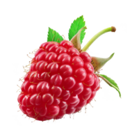 Raspberry Isolated on a Transparent Background png