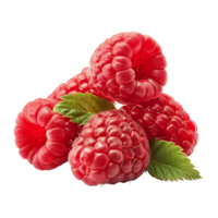 Raspberry Isolated on a Transparent Background png