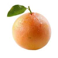 Grapefruit Isolated on a Transparent Background png