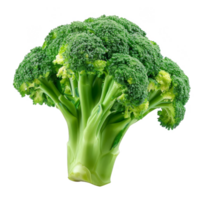 Broccoli Isolated on a Transparent Background png