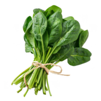 Spinach Isolated on a Transparent Background png