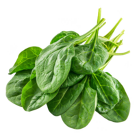 Spinach Isolated on a Transparent Background png