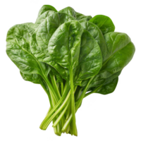 Spinach Isolated on a Transparent Background png