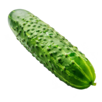 pepino isolado em uma transparente fundo png