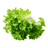 Lettuce Isolated on a Transparent Background png