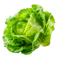 Lettuce Isolated on a Transparent Background png