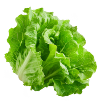Lettuce Isolated on a Transparent Background png