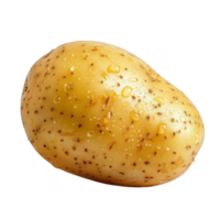 Potato Isolated on a Transparent Background png
