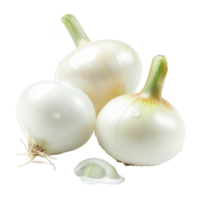 Onion Isolated on a Transparent Background png